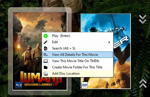 Example of selected movie context menu